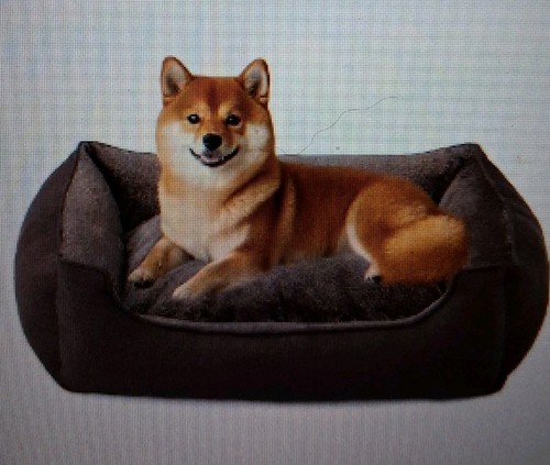 Super soft cuddlely dog - super,