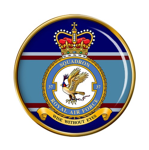 Squadron raf pin - squadron,,