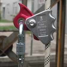 Tree Arborist Rock Climbing