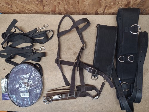 Lunging joblot full size - lunging,