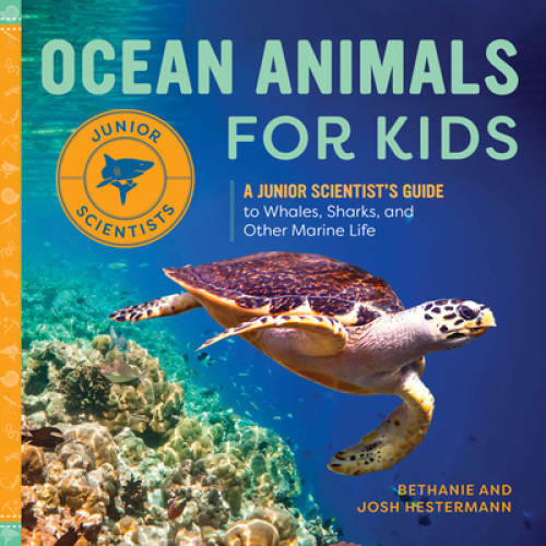 Ocean animals for kids - animals,