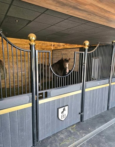 Internal horse stables - internal,