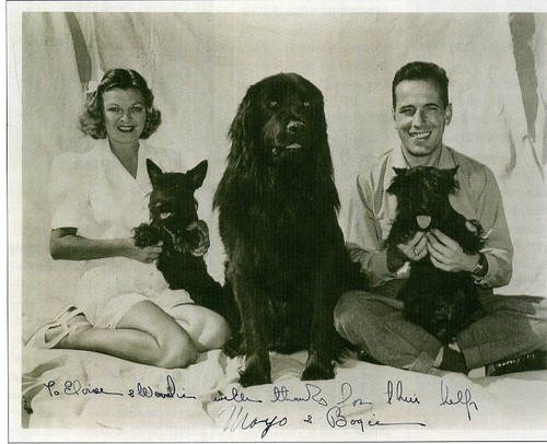 Humphrey bogart mayo - humphrey,