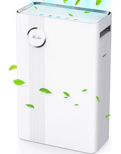 Home air purifier for large - air,