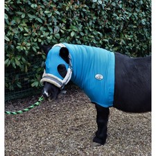 Ruggles Shetland Lycra Hood