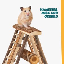 Petlicity Wooden Hamster Vertical Playground Natural Cedar Wood