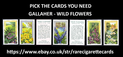Gallaher wild flowers - wild,