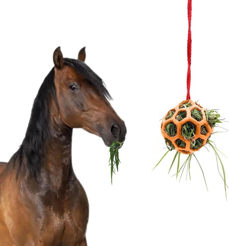 Pet hay feeder ball horse - hay, ball,horse