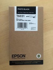 Genuine Epson Ink - T6031