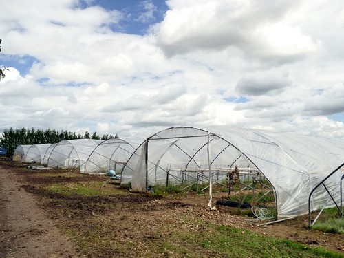 Photo 6x4 polytunnels - 6x4,