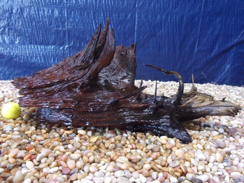 Large driftwood x21 - large,
