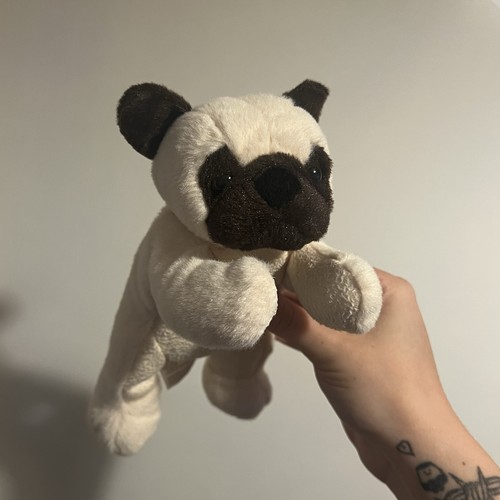 Aroma home pug - home, dog
