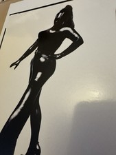 Leigh Bowery Session VIII Look