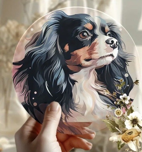Cavalier king charles spaniel - cavalier,