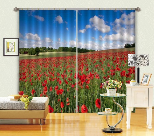 Red poppy garden zhua2796 - 3d,