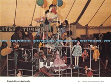 D002344 Ragdolls at Ardingly