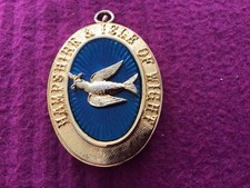 Hampshire And Isle Of Wight Masonic Past Provincial  Deacons Collar Jewel