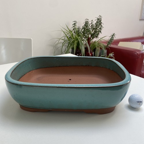Large turquoise glazed bonsai - turquoise,