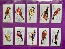 BRITISH BIRDS COMPLETE SET OF 48 TETLEY TEA CARDS c1975 EXC CDN