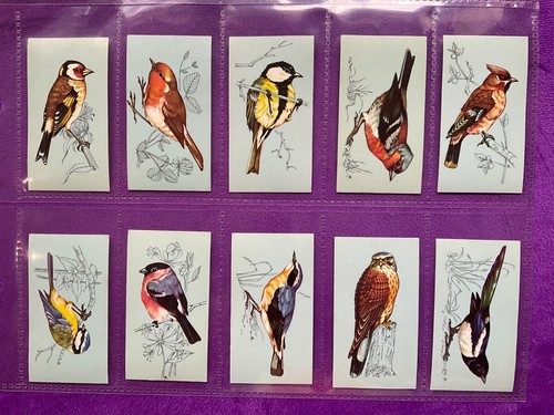 British birds complete set - complete, of