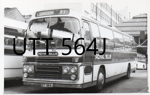 Royal blue 2395 utt564j - wn,