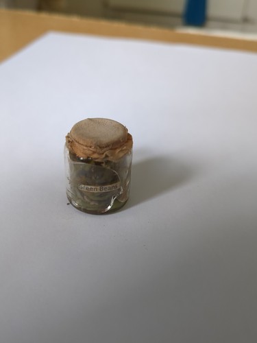Vintage dolls house jar - house, of