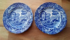 Vintage copeland spode - x,
