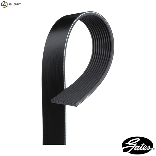 Vribbed belt 10pk1250hd for - belt,