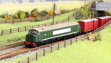 Rapido 948501 Class 44 D1