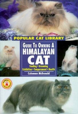 Himalayan cat popular - himalayan,
