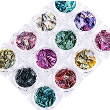 Irregular abalone seashell - irregular,