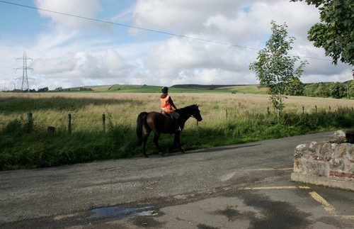 Photo 6x4 horse and - 6x4, rider