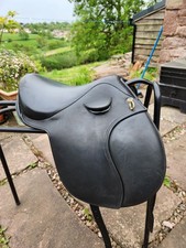 Heather Moffett 14"inch  Pony