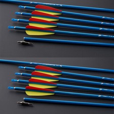 31" Aluminum Arrows Spine 550