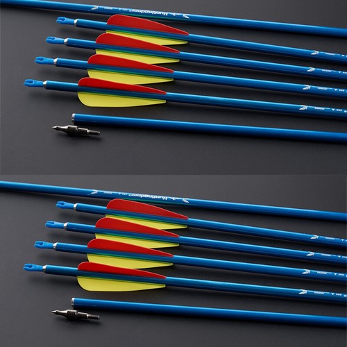 Aluminum arrows spine 550 - 31",