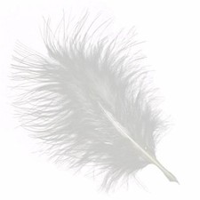 Marabou Feathers 20 Per Pack -