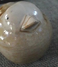 Rotund Bird, Wildlife