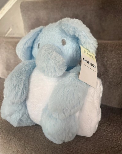 Baby boys teddy blanket - boys,