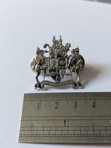 Nottingham coat arms - nottingham, pin