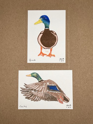 Anastasia inciardi print - anastasia, set