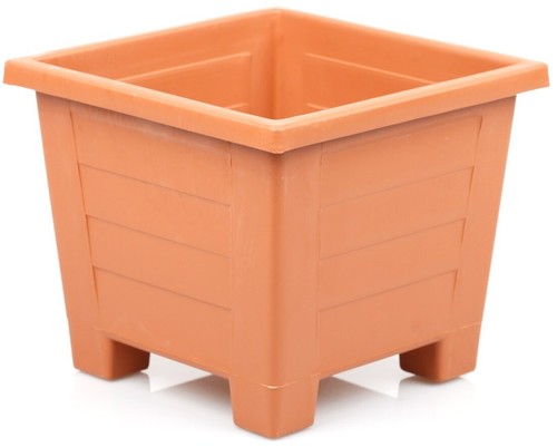 Large square plant - square,