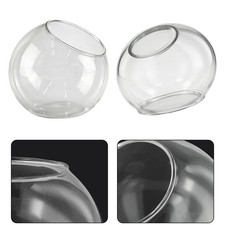 Borosilicate Glass Terrarium
