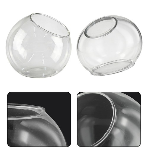 Borosilicate glass terrarium - borosilicate,