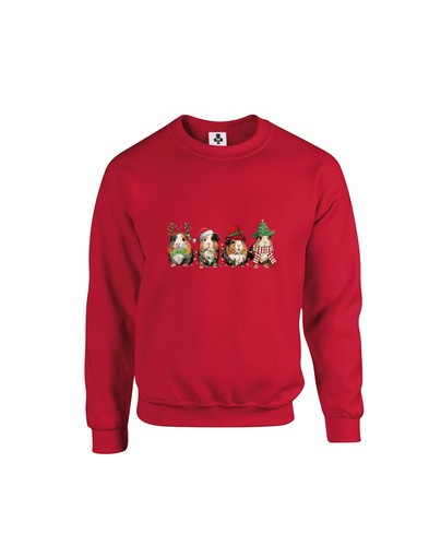 Christmas guinea pigs kids - christmas,