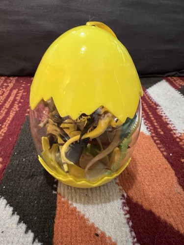 Dinosaur egg containing - egg, 12