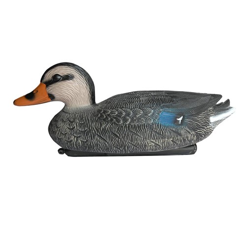 Decoy mummy duck floating - duck,