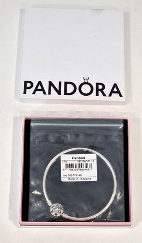 Authentic pandora moments - authentic,