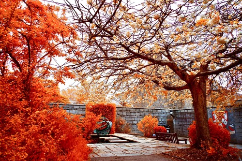 Irchrome aerochrome infrared - -,