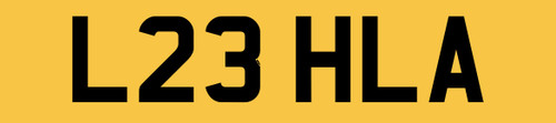 Leila neat dvla car reg - car,