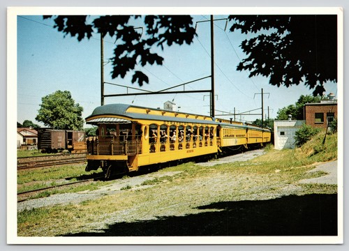 Hello dolly yellow - hello,